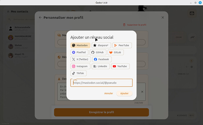 Gecko-1.4.0_Profil-RS