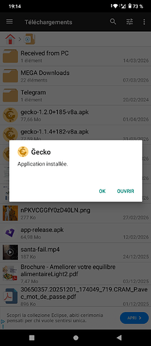 Capture d'écrans_20260401-191434
