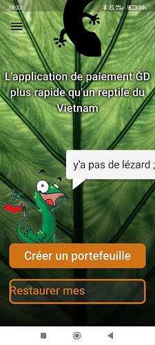 Screenshot_2025-03-09-16-33-55-548_gecko.axiomteam.fr